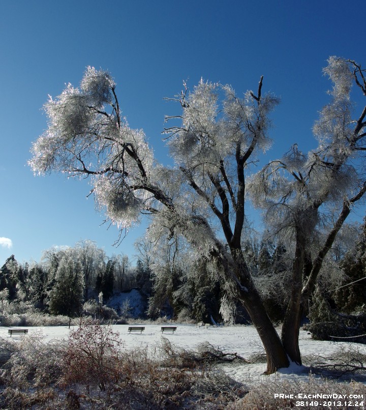 38149CrLe - Paulyn Park after the Ice Storm